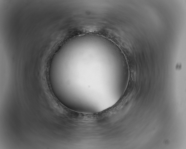 X0000102871393200808181455