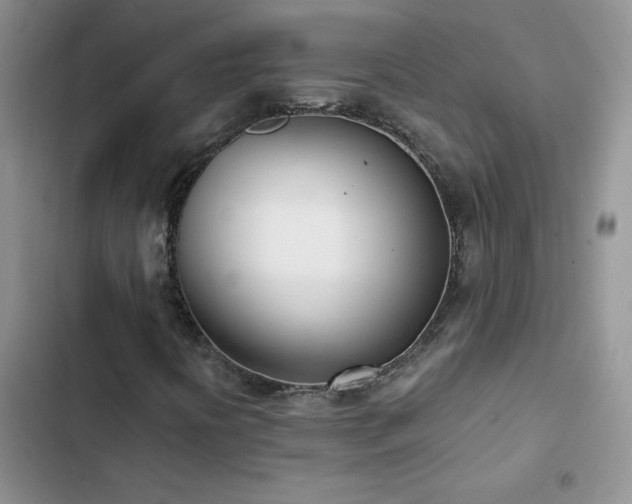 X0000102871394200808181455