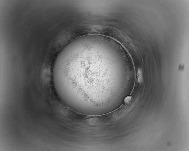 X0000102871395200808181455
