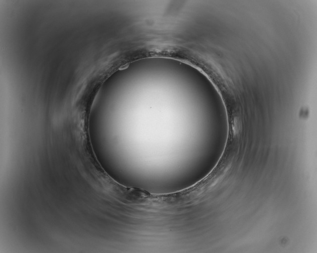 X0000102871396200808181455