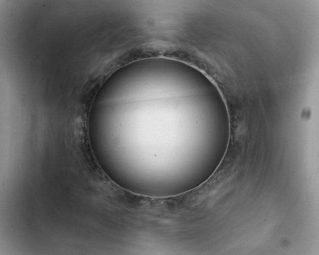 X0000102871397200808181455