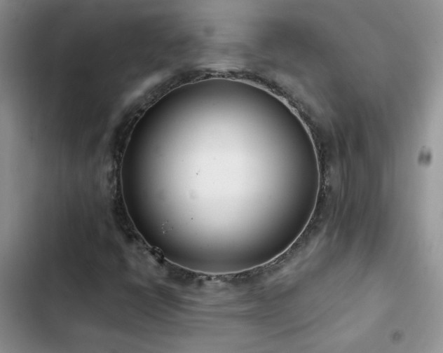 X0000102871398200808181455