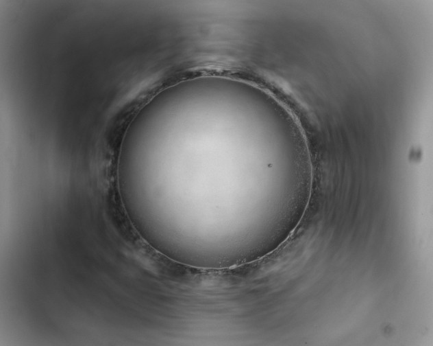 X0000102871399200808181455