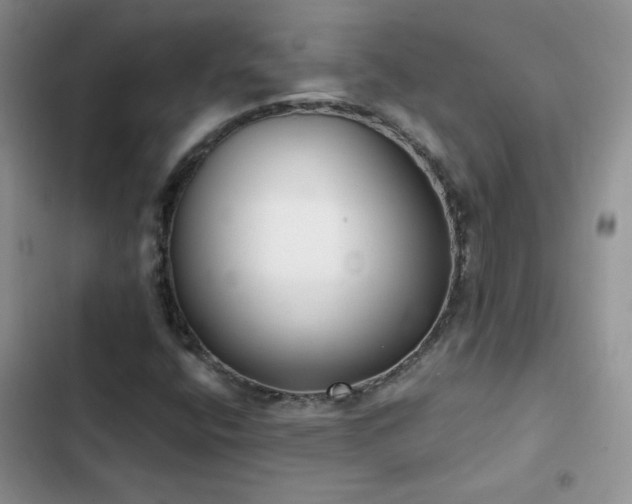 X0000102871400200808181455