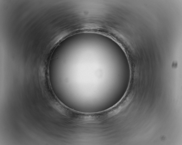 X0000102871401200808181455