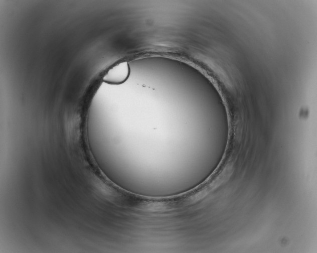 X0000102871402200808181455