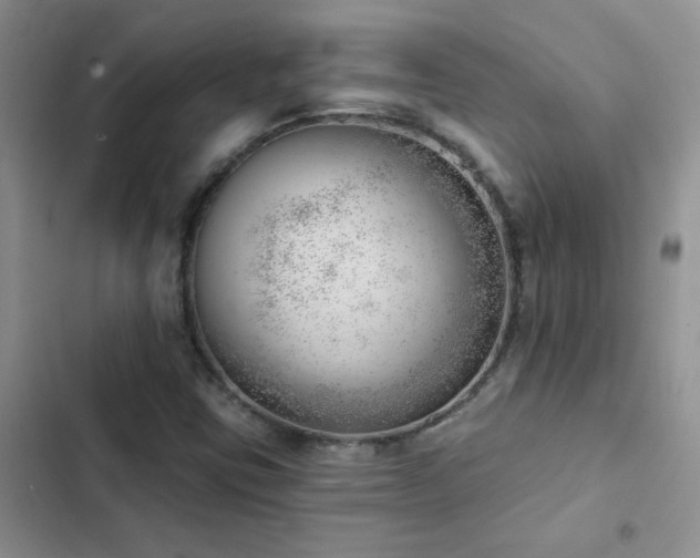 X0000102871403200808181455