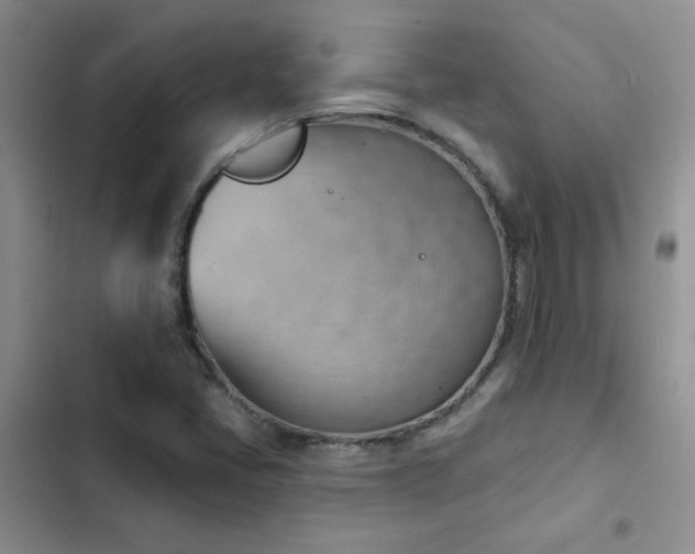 X0000102871405200808181455