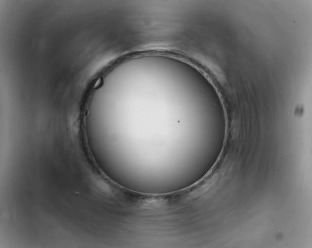 X0000102871406200808181455