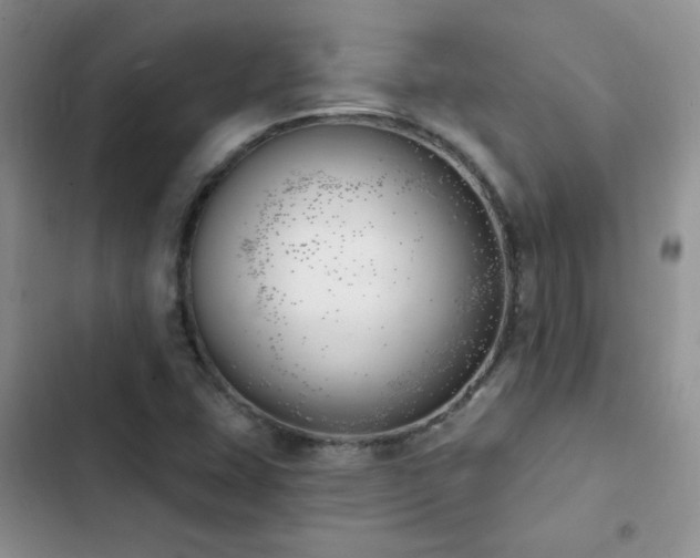 X0000102871407200808181455