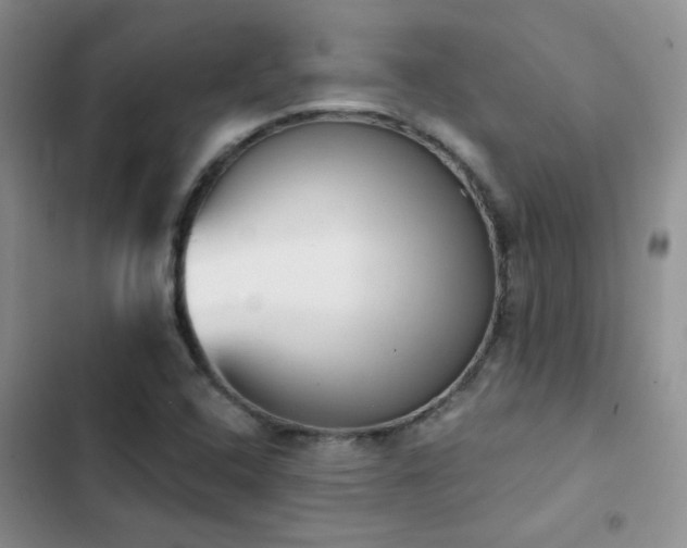 X0000102871408200808181455