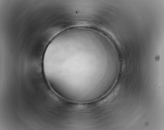 X0000102871409200808181455