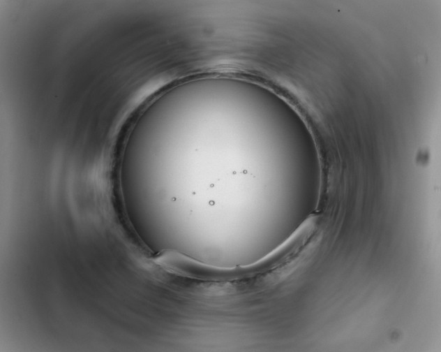 X0000102871410200808181455