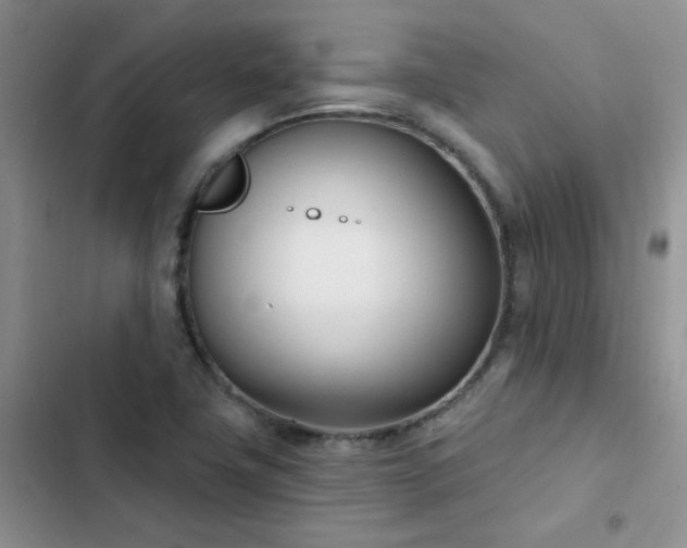 X0000102871411200808181455