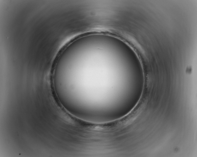 X0000102871412200808181455