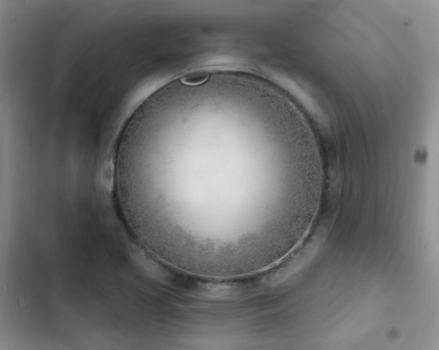 X0000102871413200808181455