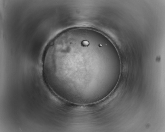 X0000102871414200808181455