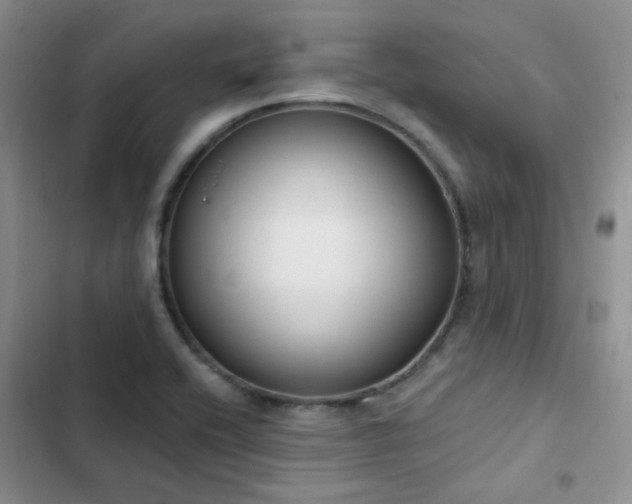 X0000102871416200808181455