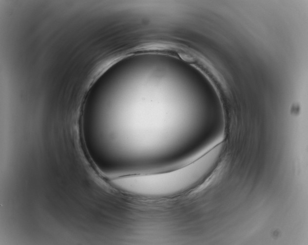 X0000102871417200808181455