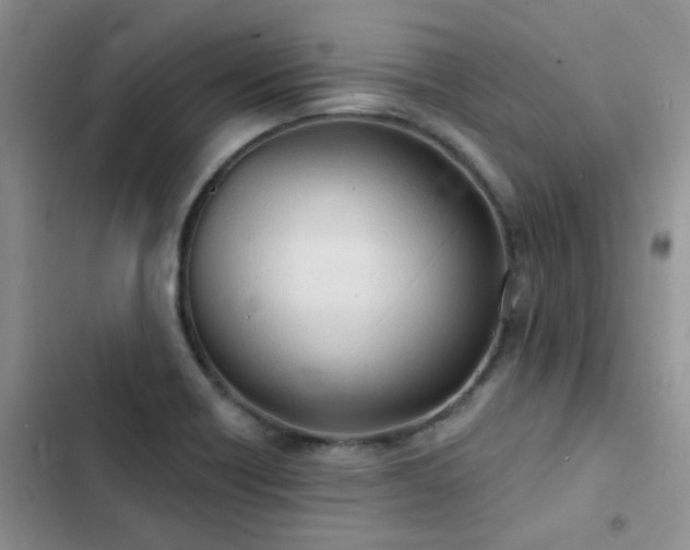 X0000102871418200808181455