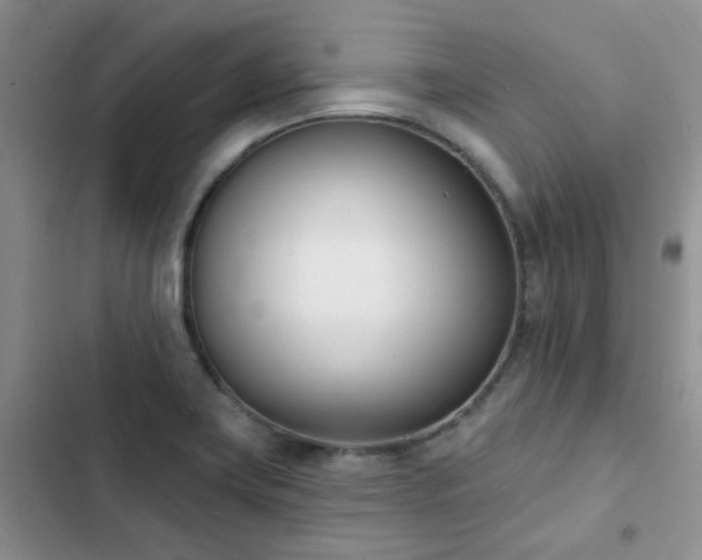 X0000102871419200808181455
