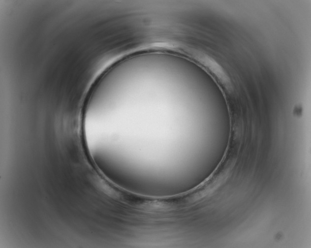 X0000102871420200808181455