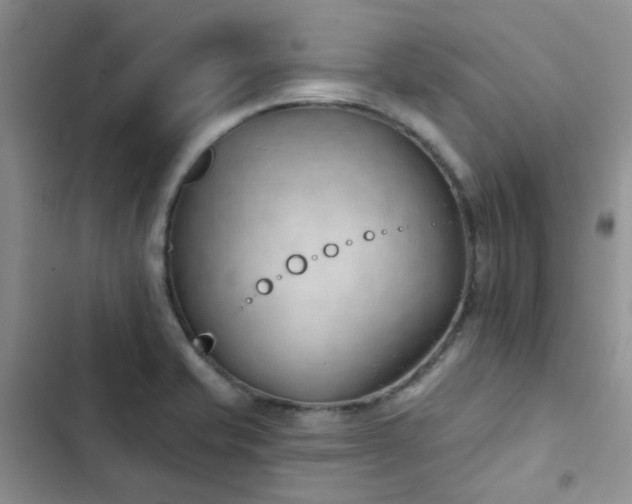 X0000102871421200808181455