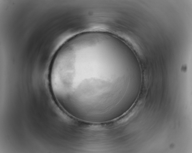 X0000102871422200808181455