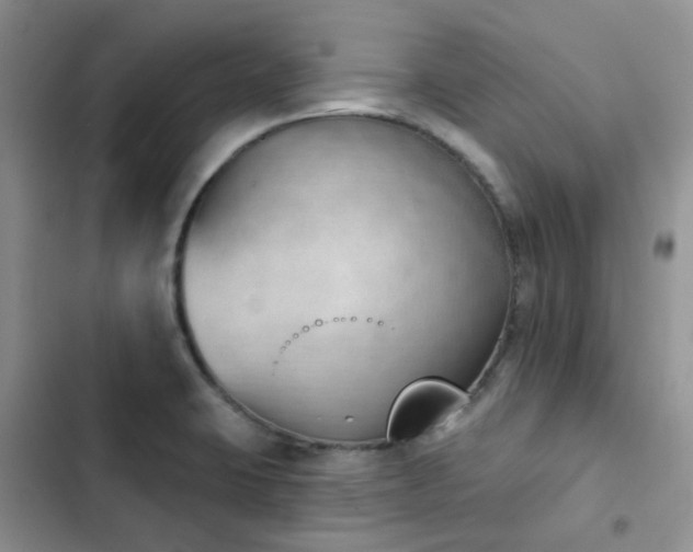 X0000102871423200808181455