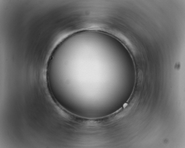 X0000102871424200808181455