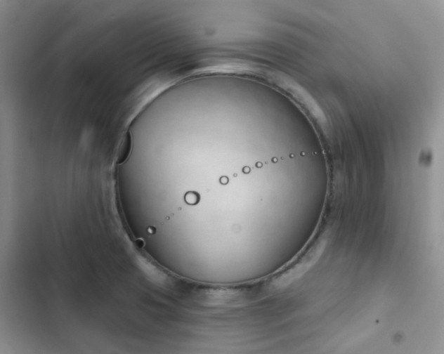 X0000102871425200808181455