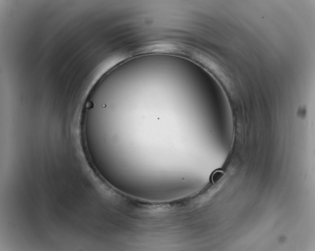 X0000102871426200808181455