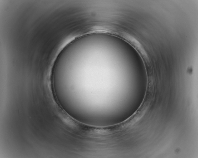 X0000102871427200808181455