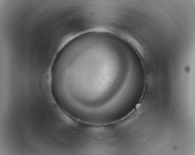 X0000102871428200808181455