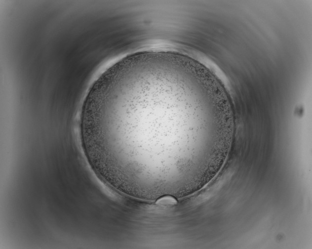 X0000102871429200808181455