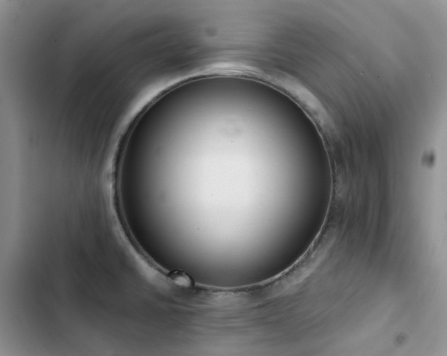 X0000102871430200808181455