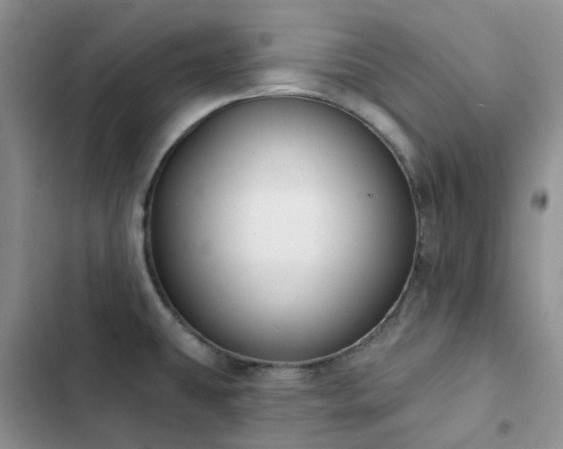 X0000102871431200808181455