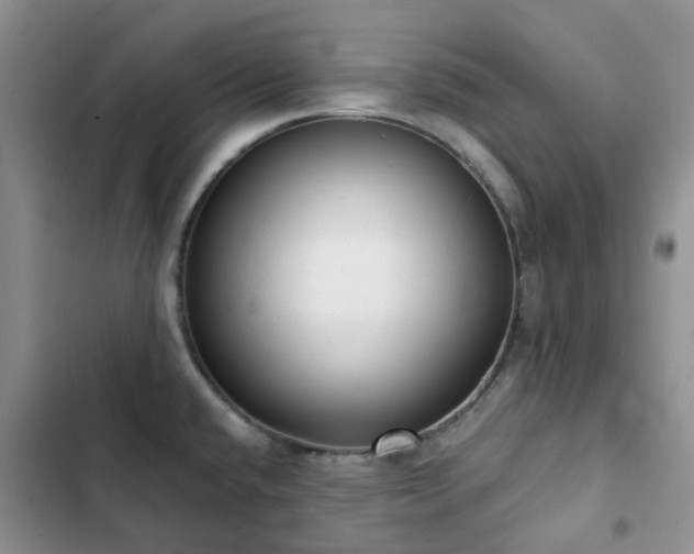 X0000102871432200808181455
