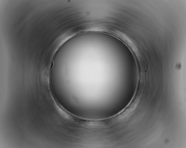 X0000102871433200808181455