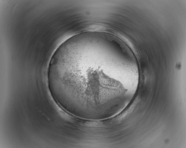 X0000102871434200808181455