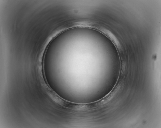 X0000102871435200808181455