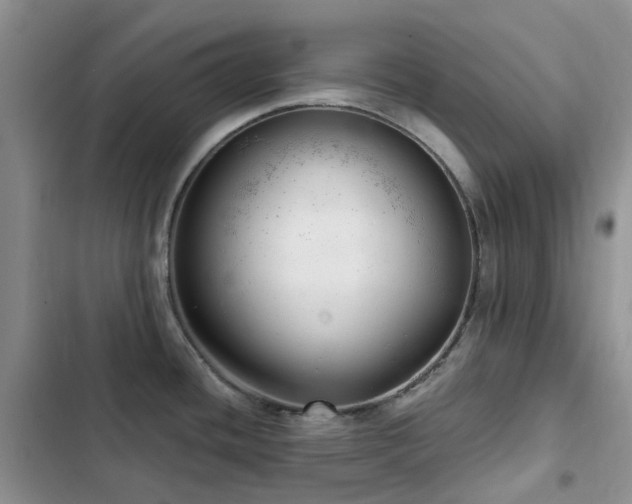 X0000102871436200808181455