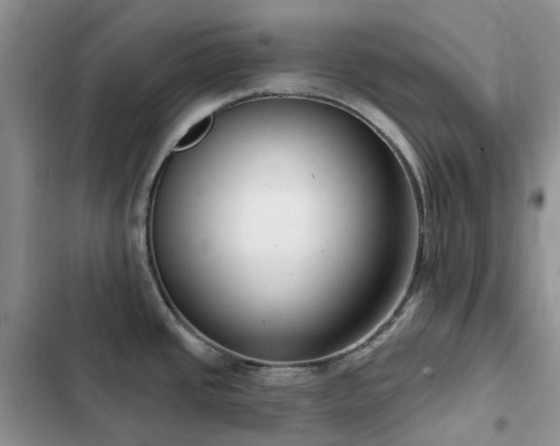 X0000102871437200808181455