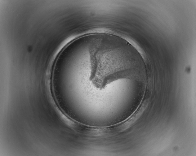 X0000102871438200808181455