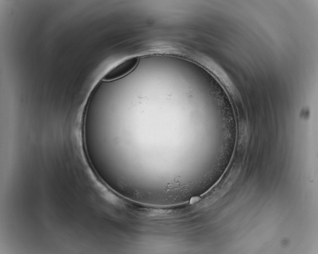 X0000102871439200808181455