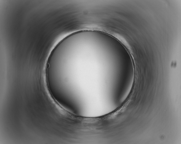 X0000102871440200808181455