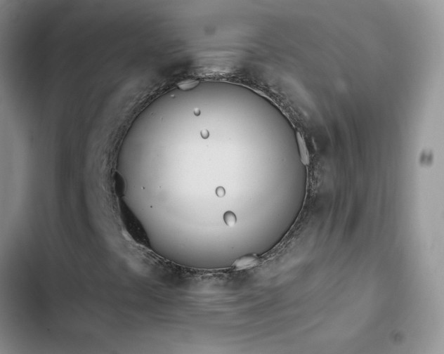 X0000102871441200808181455