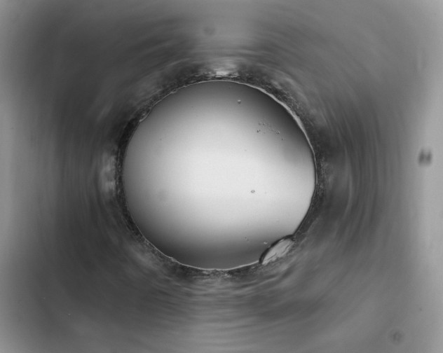 X0000102871442200808181455