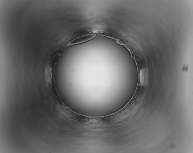 X0000102871443200808181455