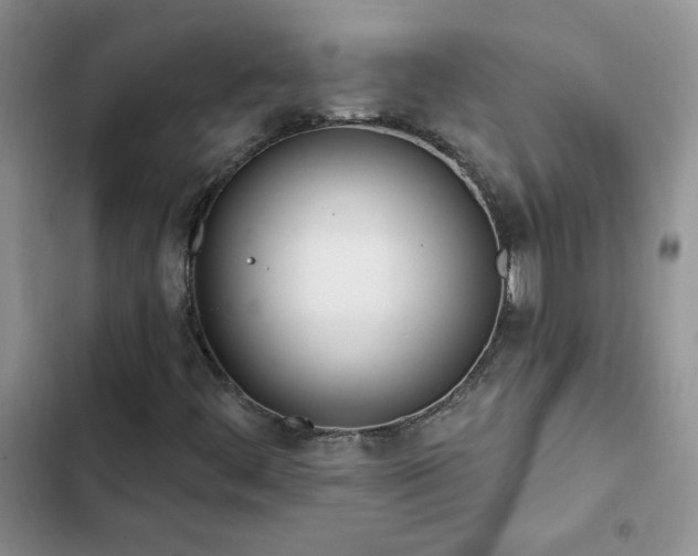 X0000102871444200808181455